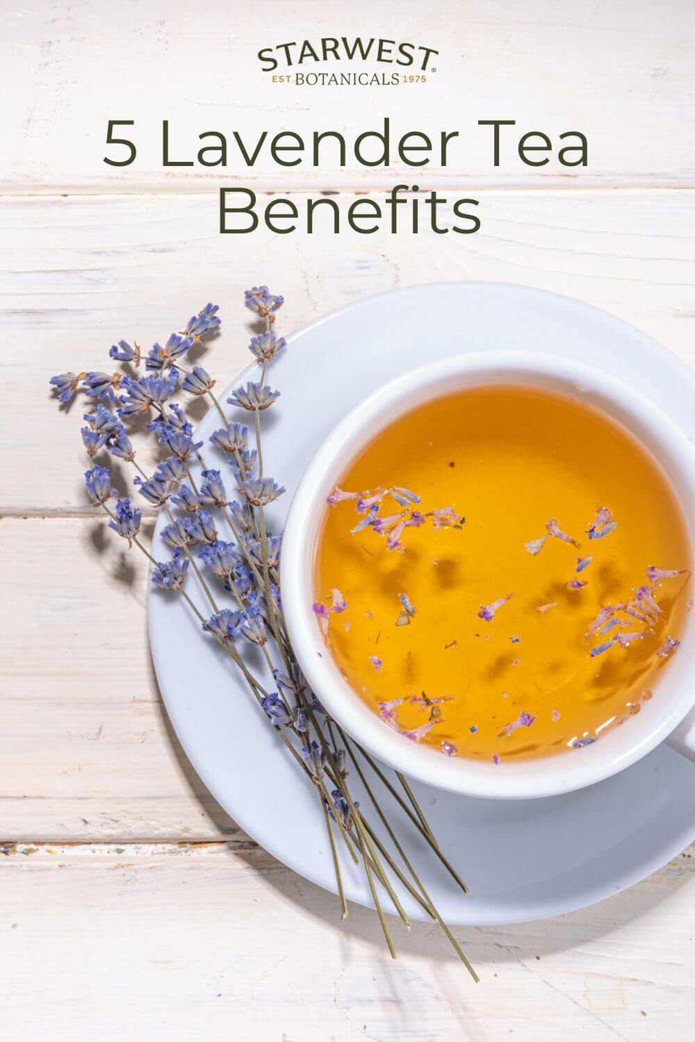 5-benefits-of-lavender-tea-1.jpg 5-benefits-of-lavender-tea-1.jpg