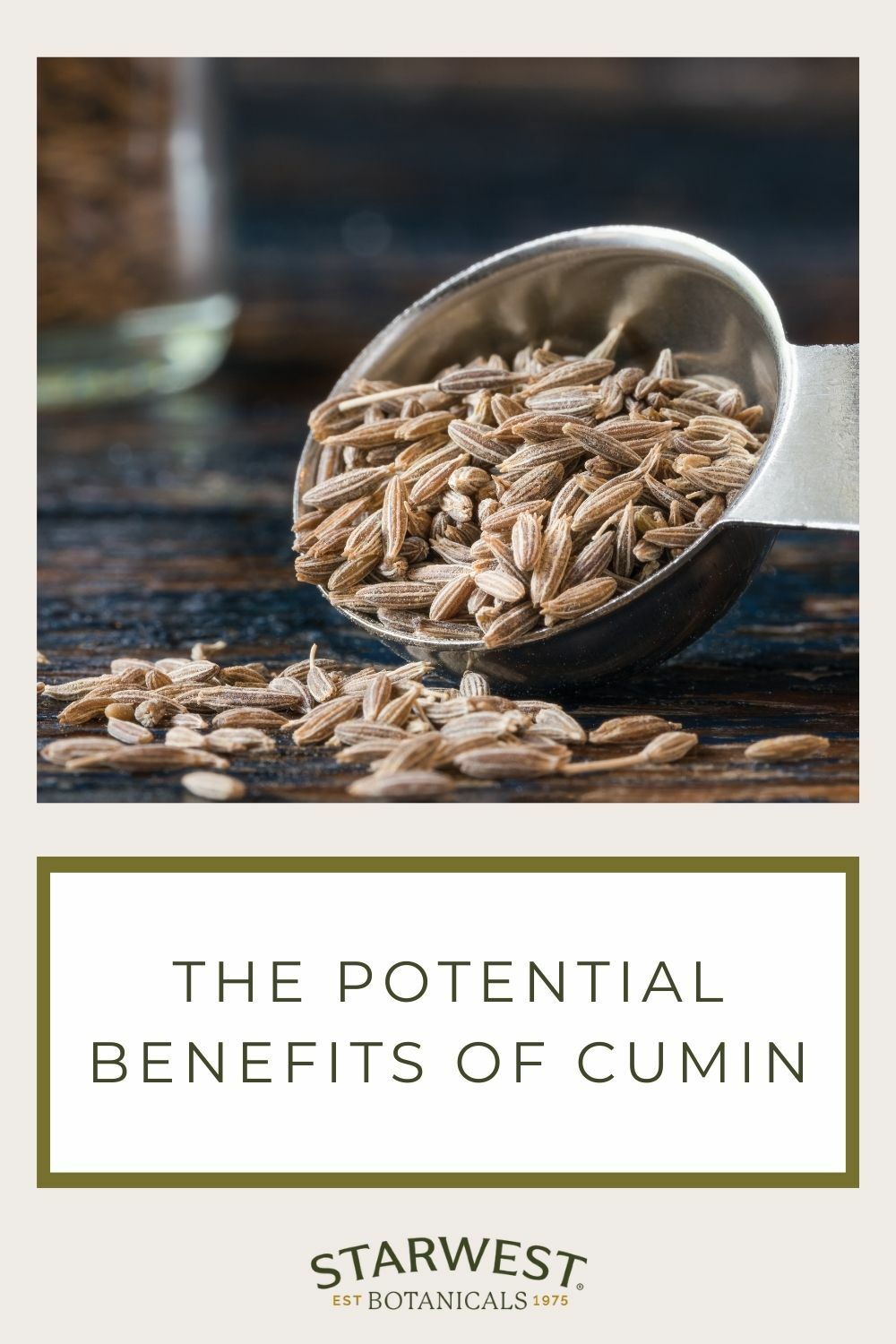 ayurveda-cumin-1.jpg ayurveda-cumin-1.jpg