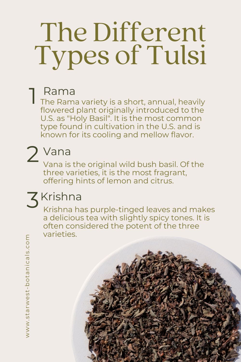 ayurveda-tulsi-january-2.jpg