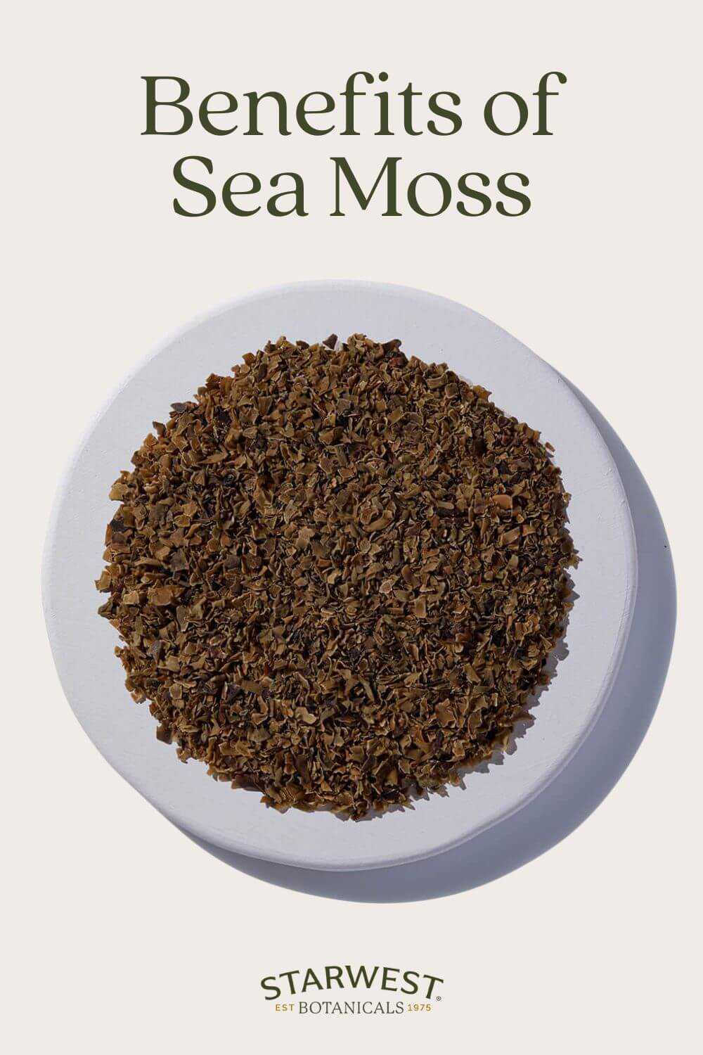 benefits-of-sea-moss.jpg