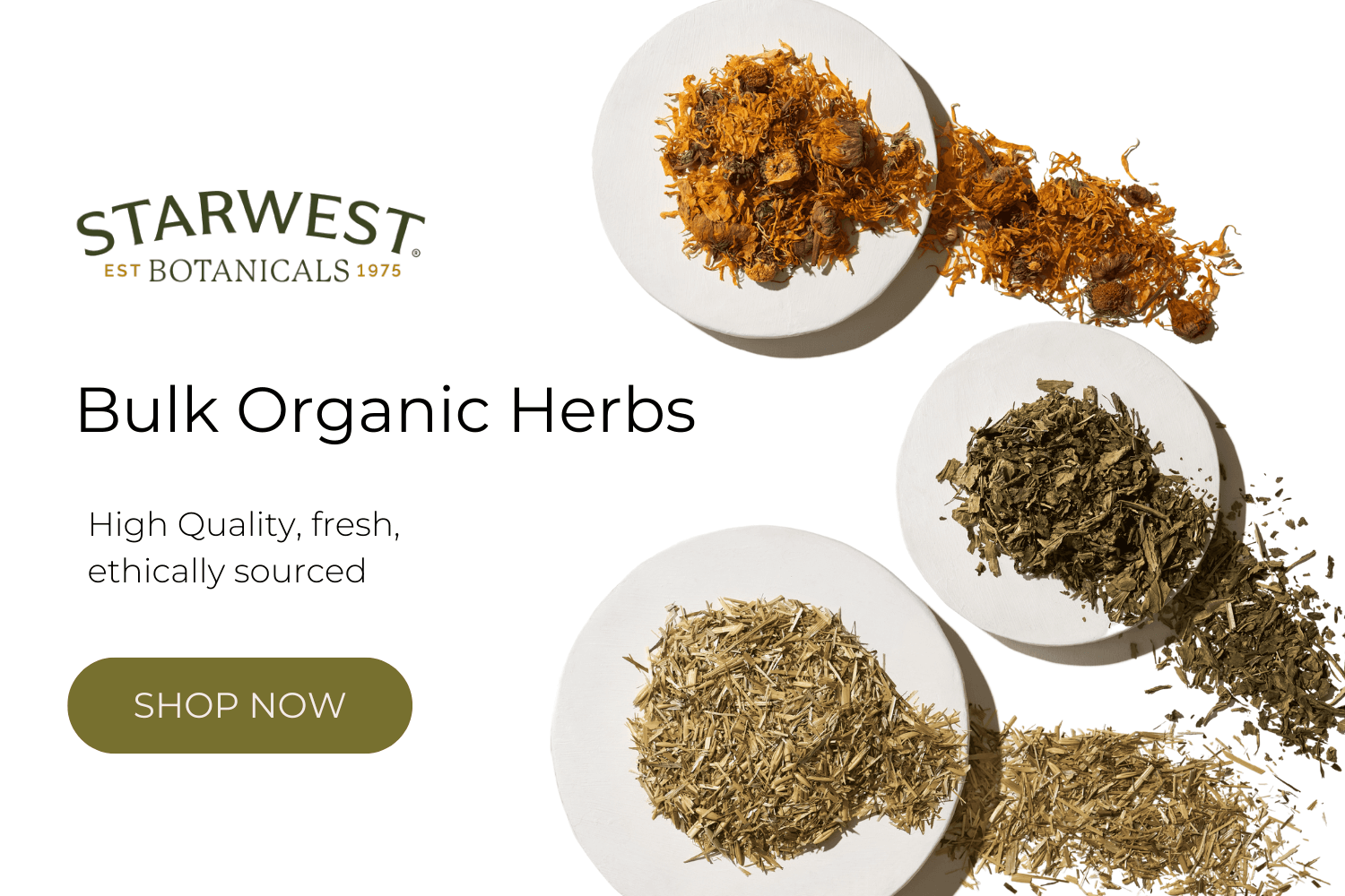 cta-herbs-2.png cta-herbs-2.png