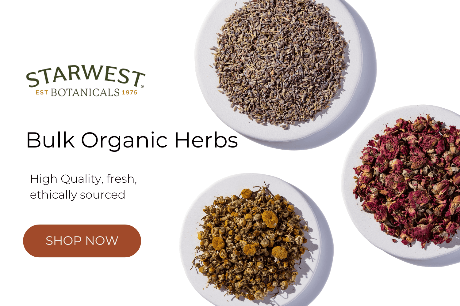 cta-herbs-lavender-1-.png cta-herbs-lavender-1-.png