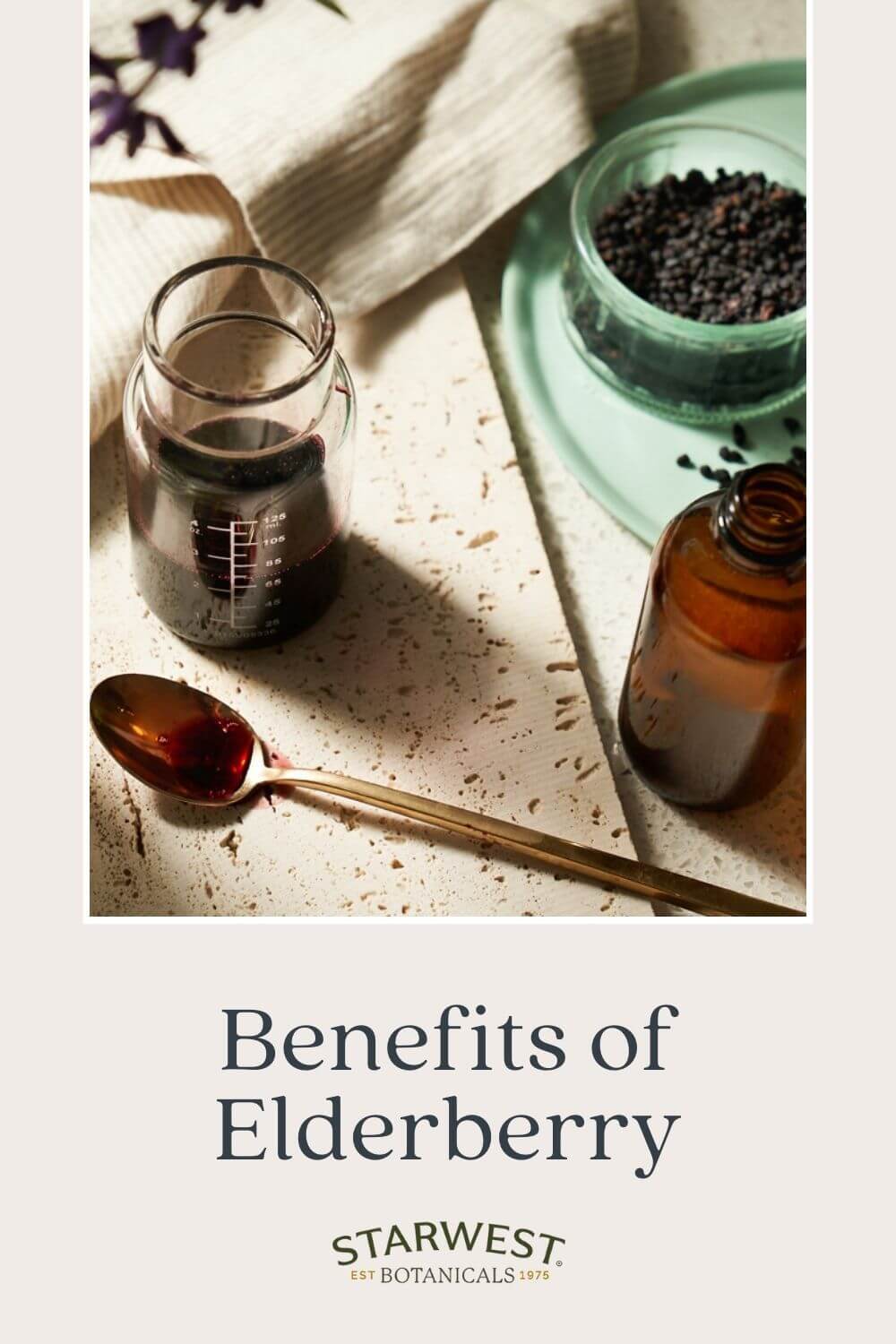 elderberry-benefits-1.jpg elderberry-benefits-1.jpg