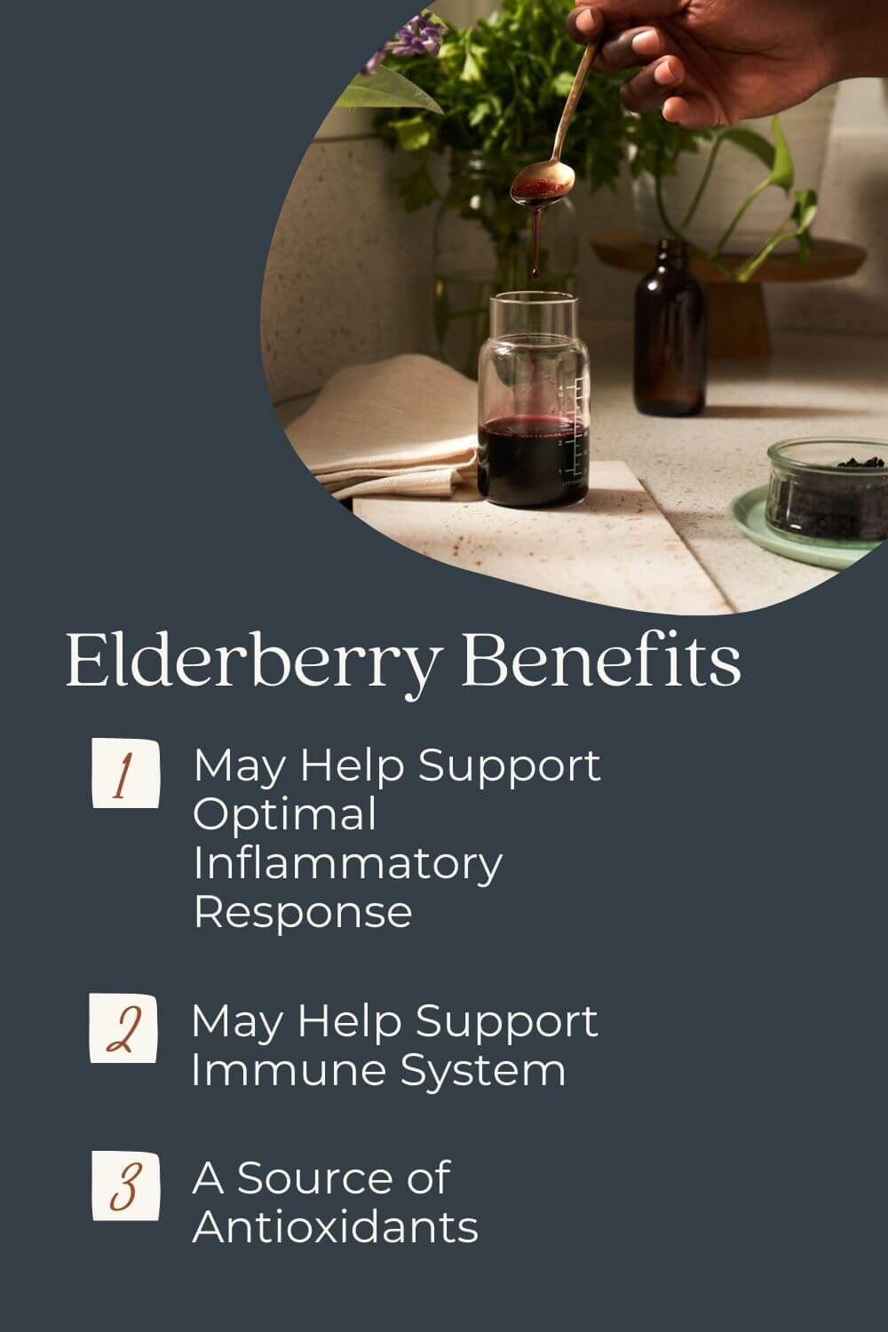 elderberry-benefits-2.jpg elderberry-benefits-2.jpg
