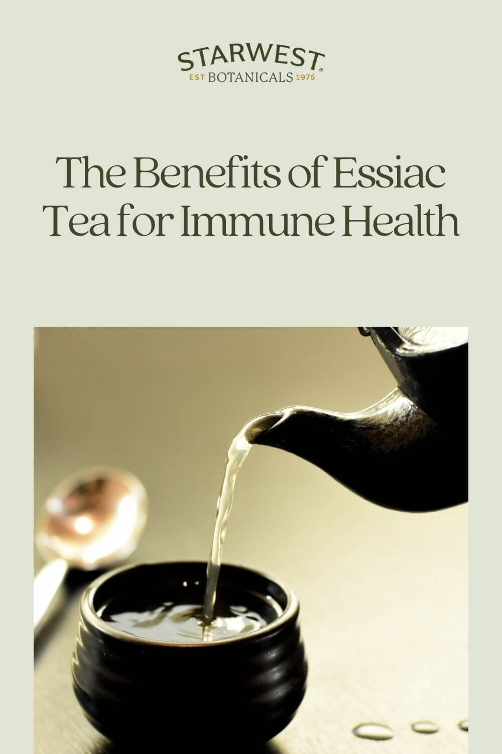 essiac-for-immune-health-1-1-.jpg essiac-for-immune-health-1-1-.jpg