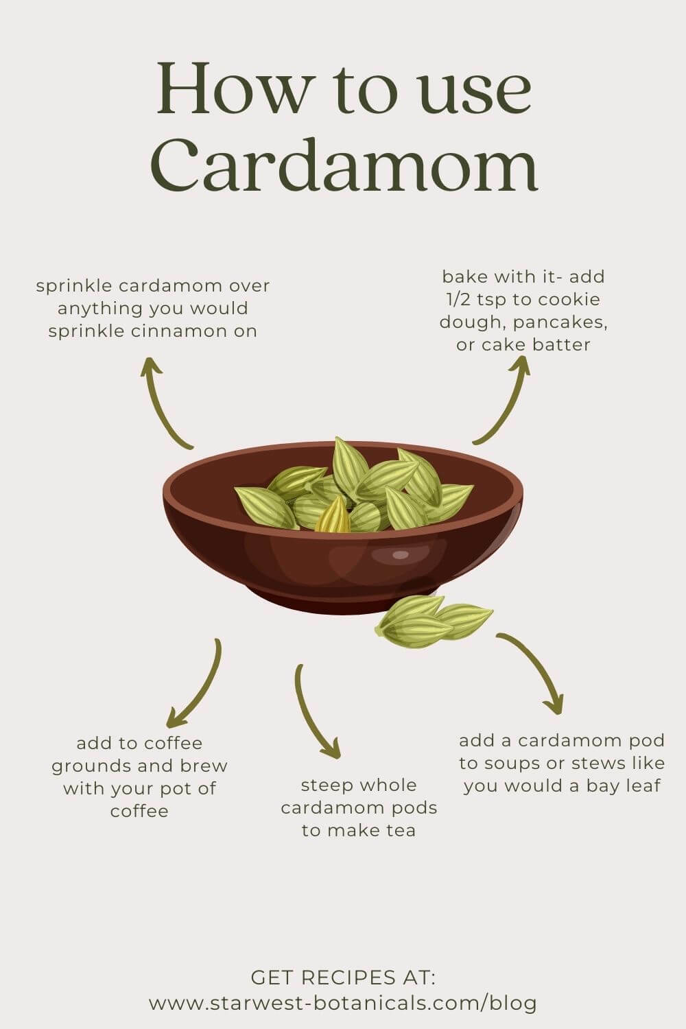 joy-of-cardamom-2.jpg joy-of-cardamom-2.jpg