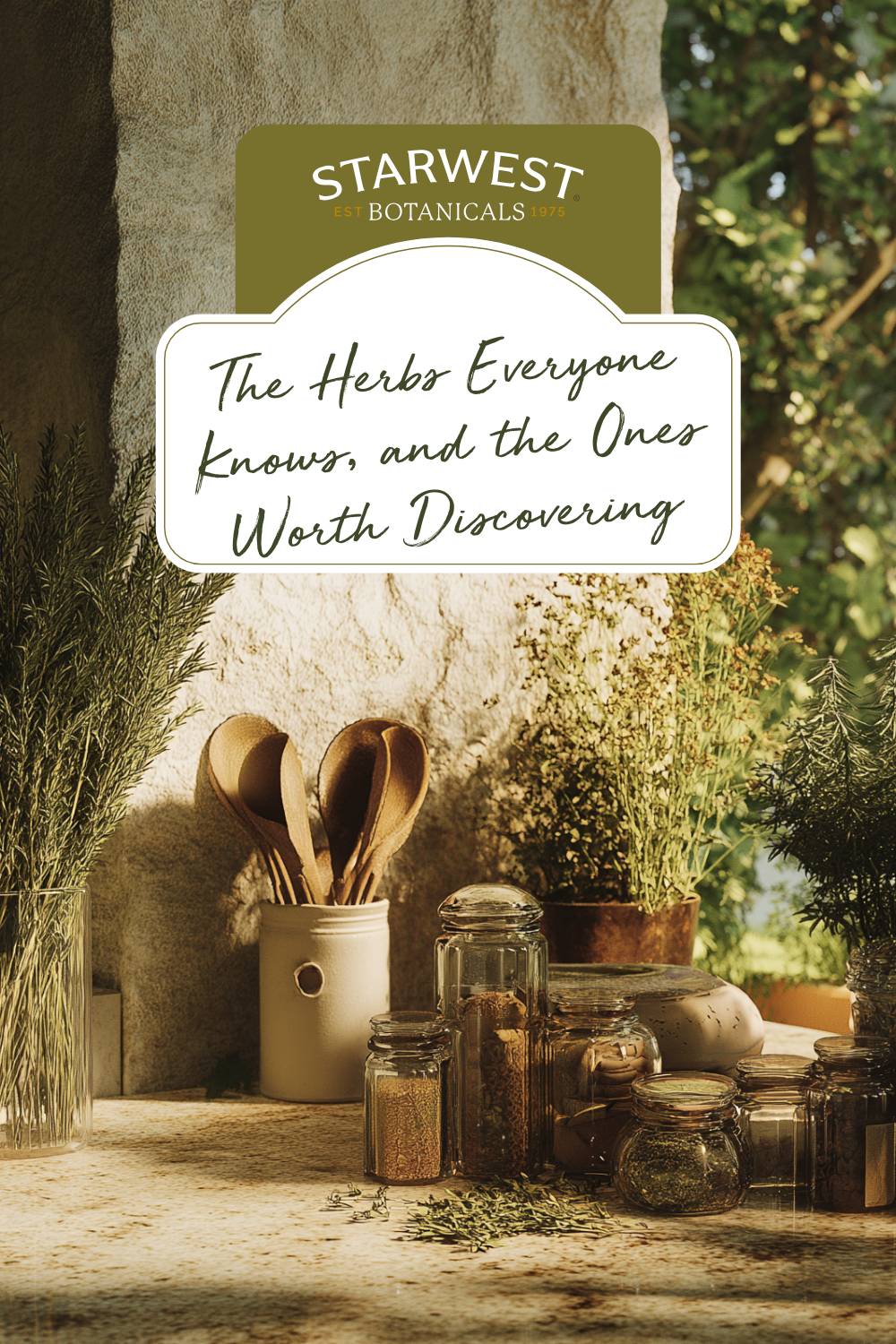 The Herbs Everyone Knows, and the Ones Worth Discovering The Herbs Everyone Knows, and the Ones Worth Discovering