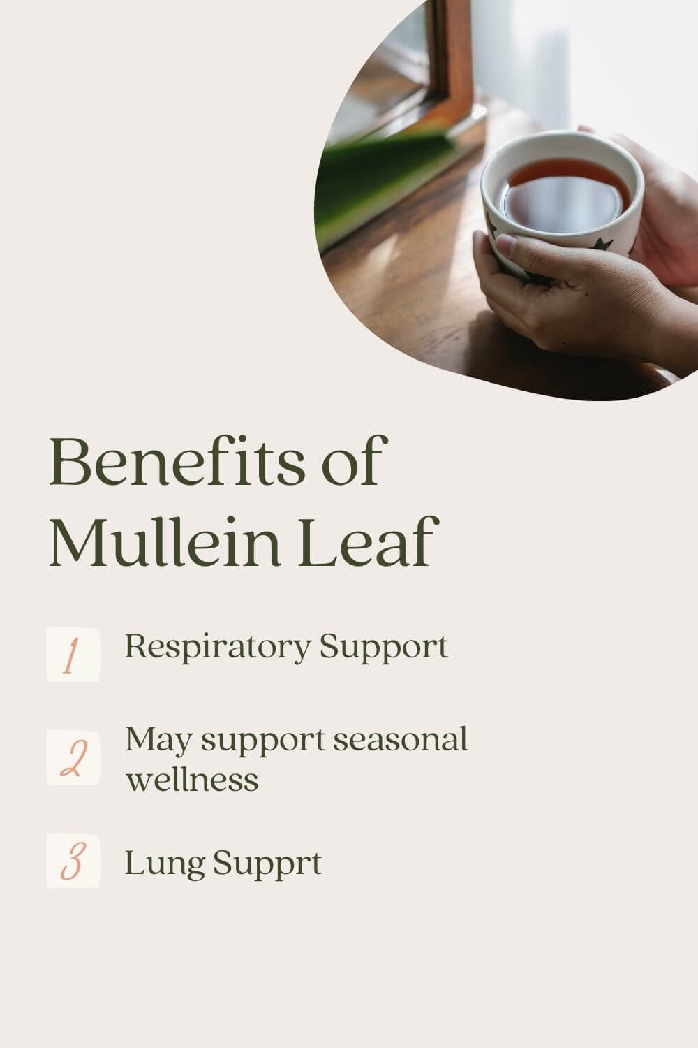 mullein-leaf-benefits-2.jpg