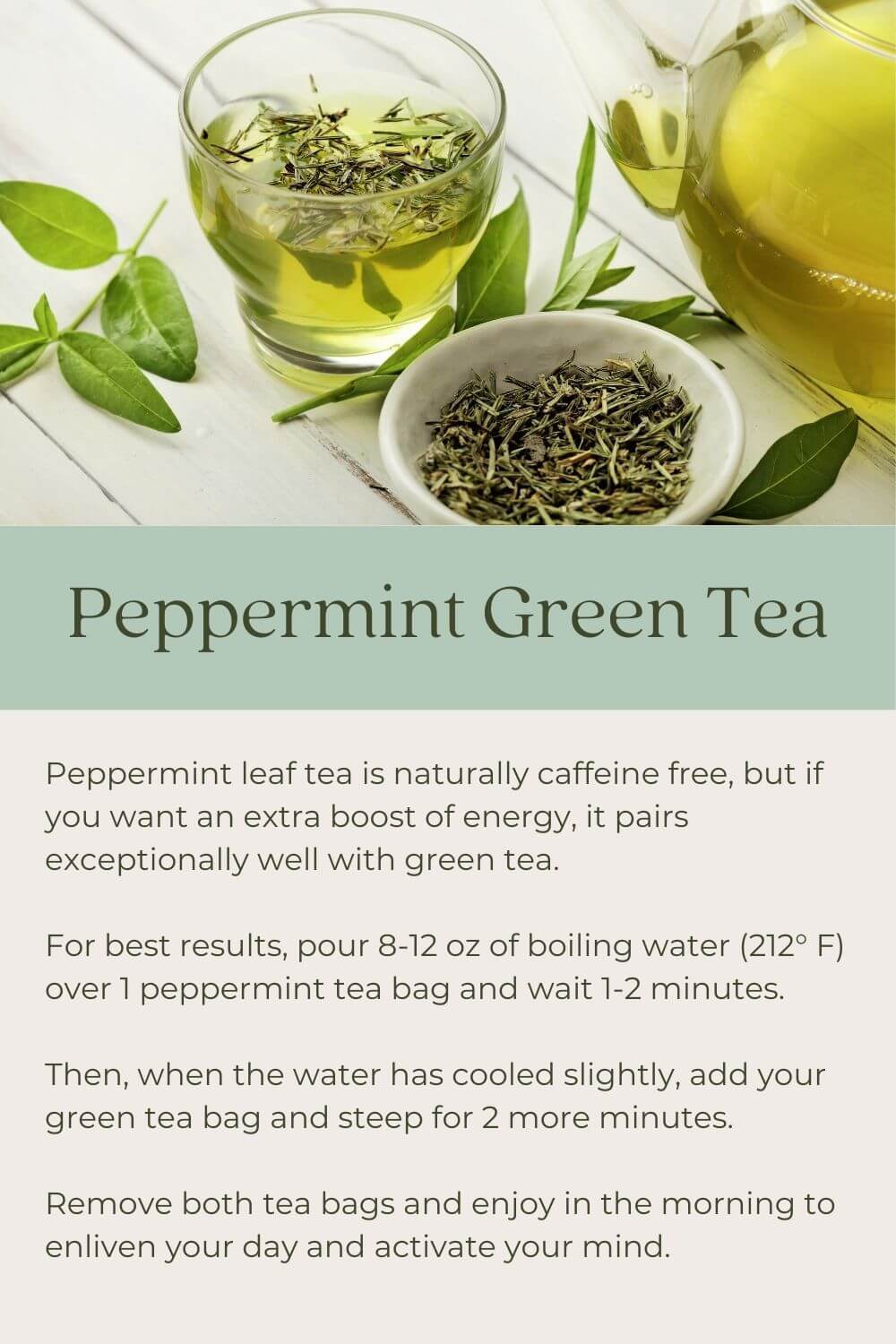 peppermint-blog-2.jpg peppermint-blog-2.jpg