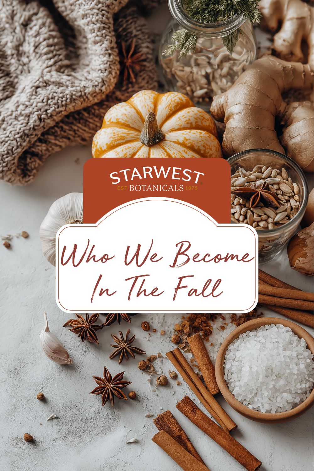 Who we become in the fall Fall elements scattered including pumpkin, pumpkin seeds, cinnamon, anise stars, garlic, ginger, salt and a sweater